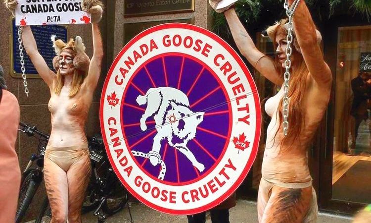 Model Vikki Lenola Prefers to Go Nude for Animal Rights