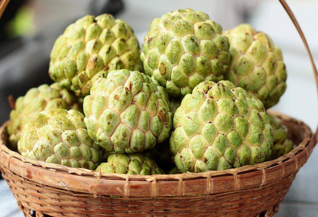 Want to stay healthy: Include ‘Custard Apple’ to your diet