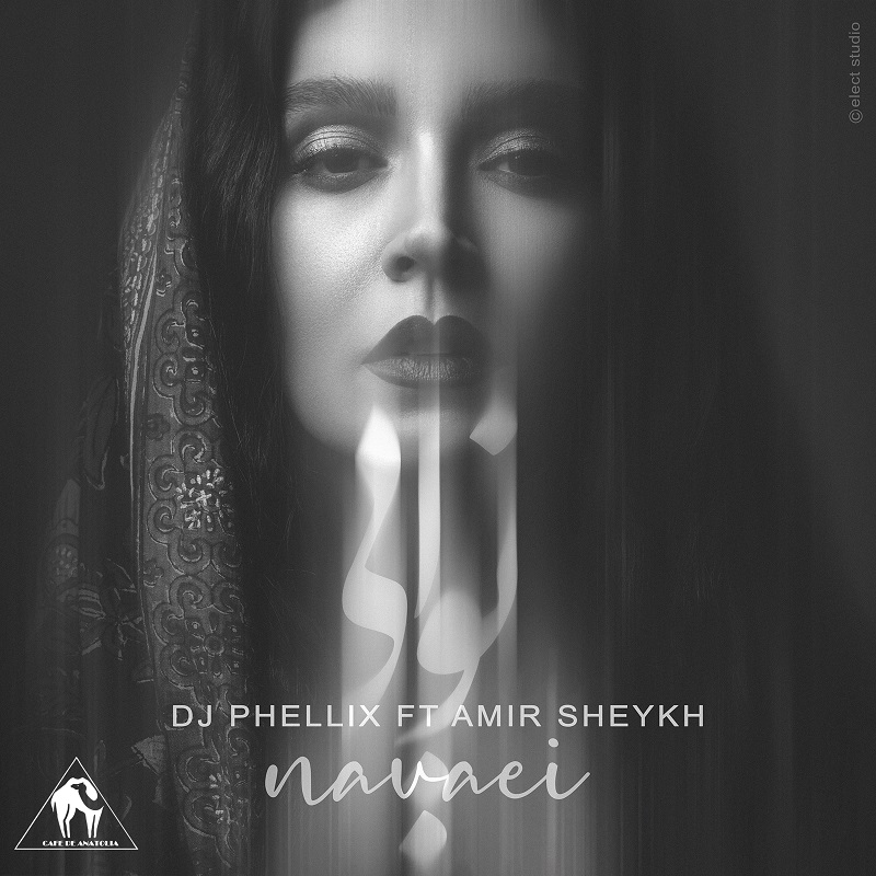 Navaei Track By DJ Phellix & Amir Sheykh worthy to be played on loop