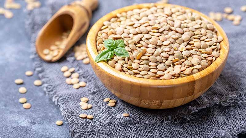 Reasons why you should include nutritious lentils in your diet: Learn the benefits for effective health