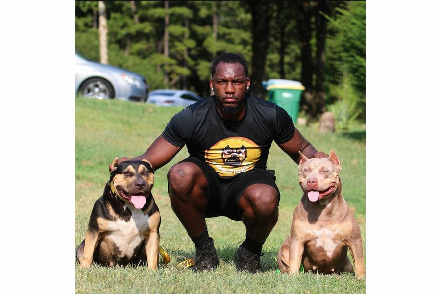 BurrnationK9s are the One-Stop Shop for the best high-quality Pitbulls.