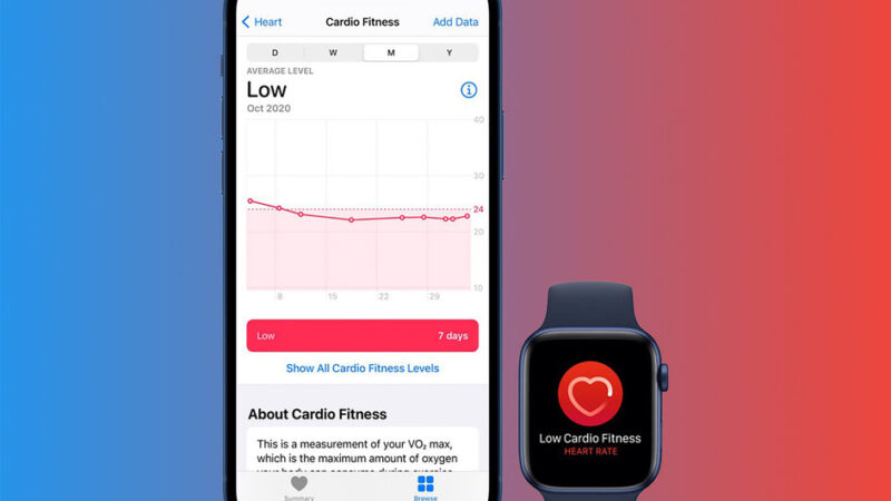 In watchOS 7.2 and iOS 14.3- how to set cardio fitness levels