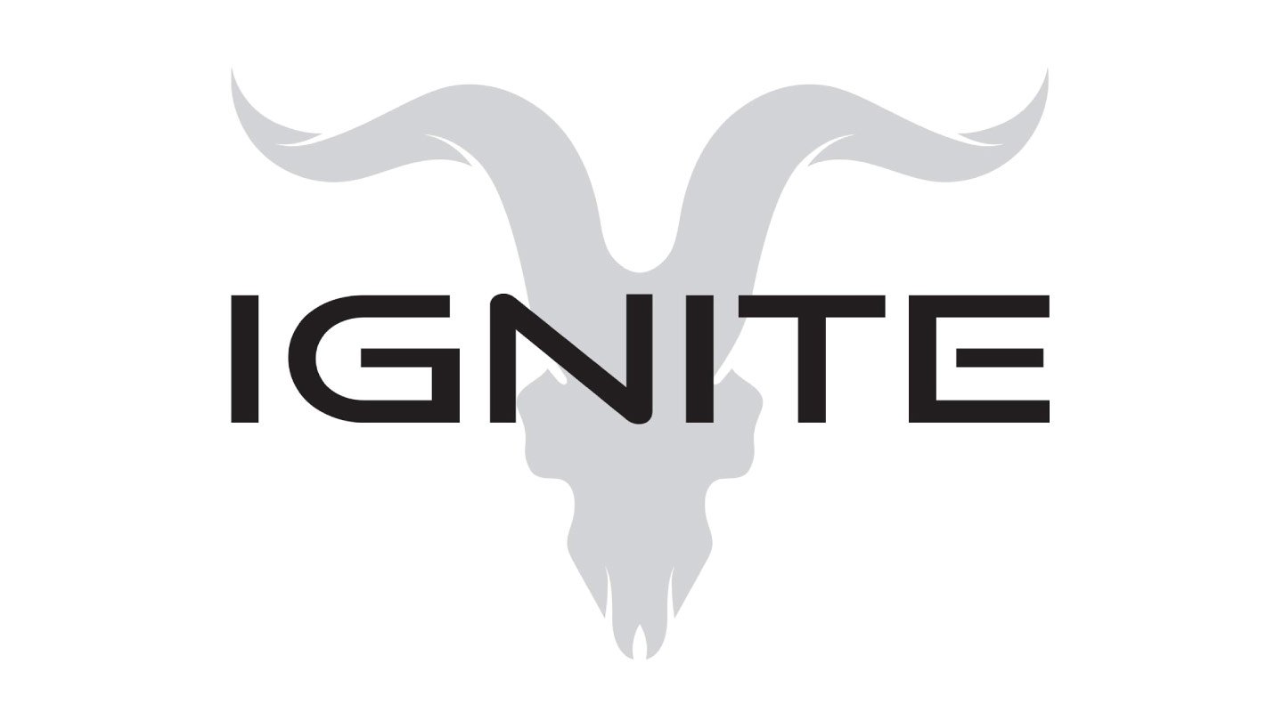 Ignite International Now Has A Corporate Dream Team Behind Dan Bilzerian