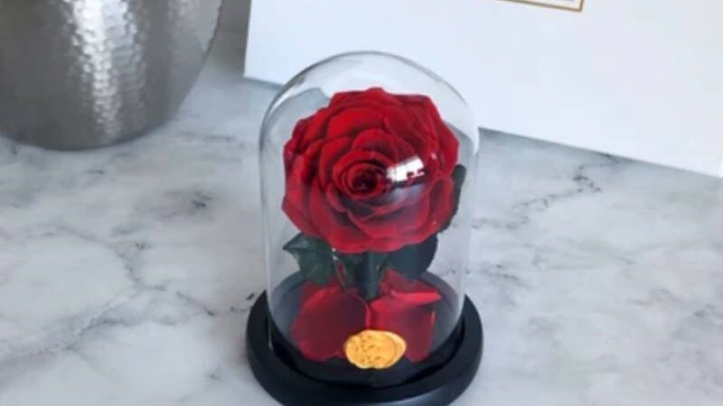 Why Is Gifting An Enchanted Rose An Excellent Idea?
