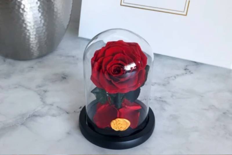 Why Is Gifting An Enchanted Rose An Excellent Idea?