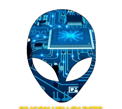 Best Online Sports Punters: Silicon Valley Bets