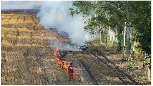 A bird’s-eye view of farm fires in Haryana, Punjab since 2016