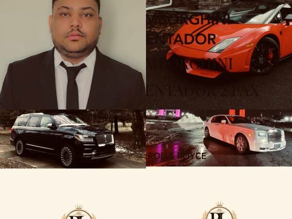 RickyGhotra Is Tha Co-Founder & Chief Executive Officer of the global Chauffeur service Royalux limo became best Limousine company New York city