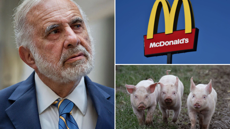 Over treatment of pigs, Billionaire Carl Icahn targets McDonald’s