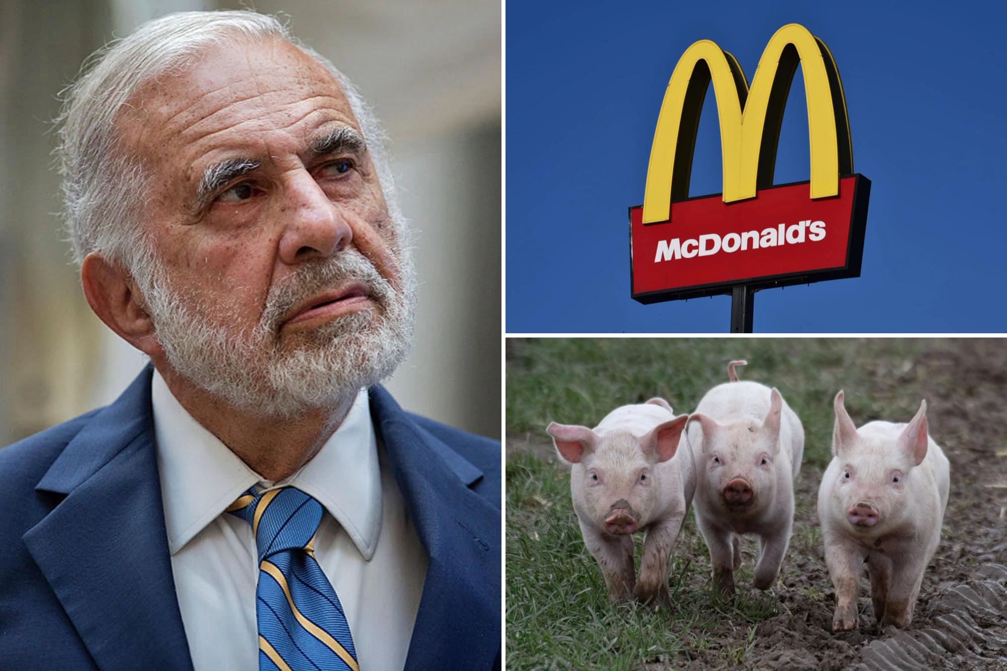 Over treatment of pigs, Billionaire Carl Icahn targets McDonald’s