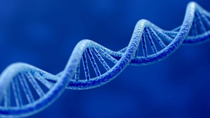 Researchers have identified a new genetic link to schizophrenia