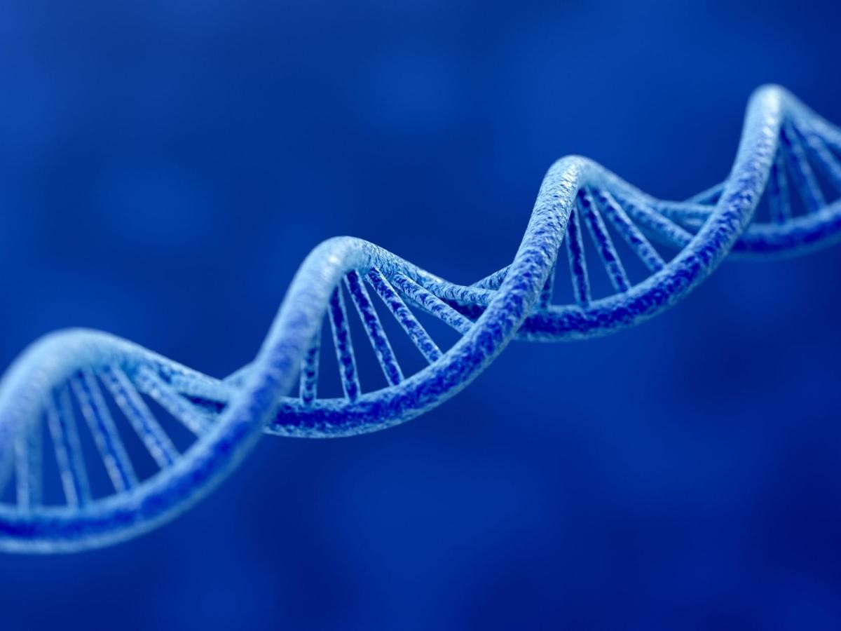 Researchers have identified a new genetic link to schizophrenia