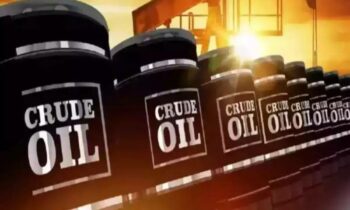 Oil