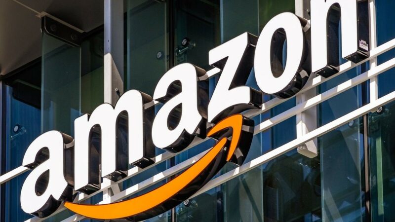 Disappointment for e-commerce companies has been exacerbated by Amazon’s route