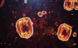 The most recent infection to come from China is the new “Langya virus”