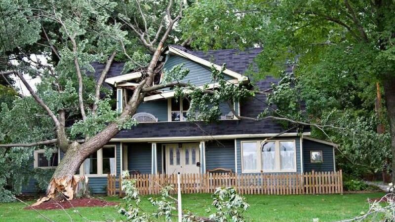 Storm and Wind Damage Restoration for Businesses