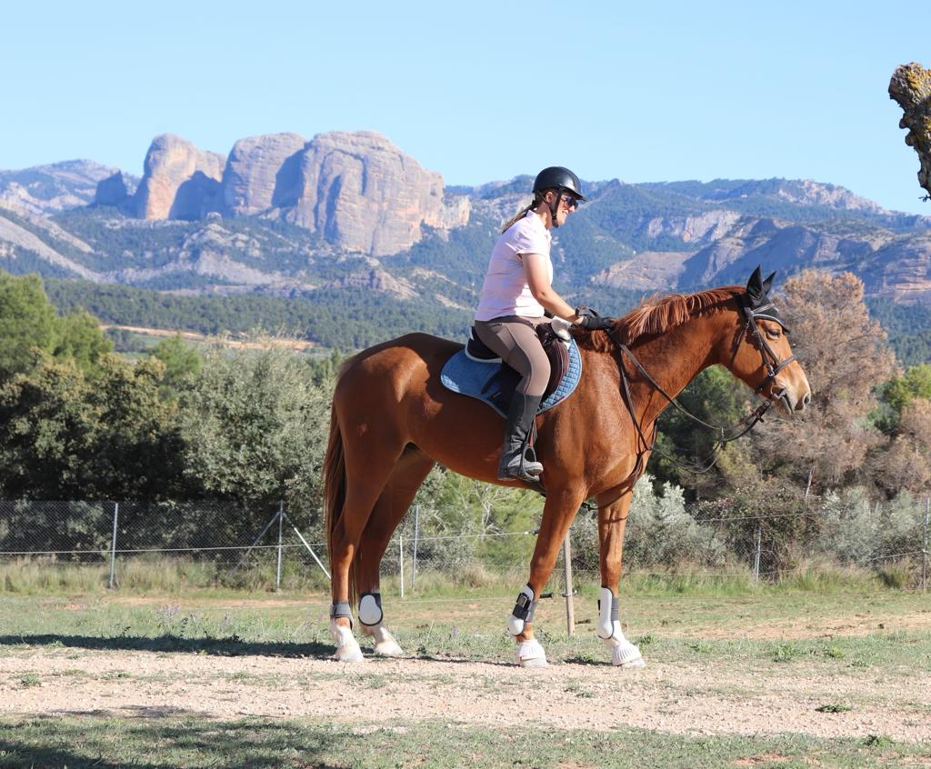 Join the Elite Ranks of Showjumping Royalty: Krystal Kelly’s Unrivaled Expertise and Guided Coaching for Aspiring Champions