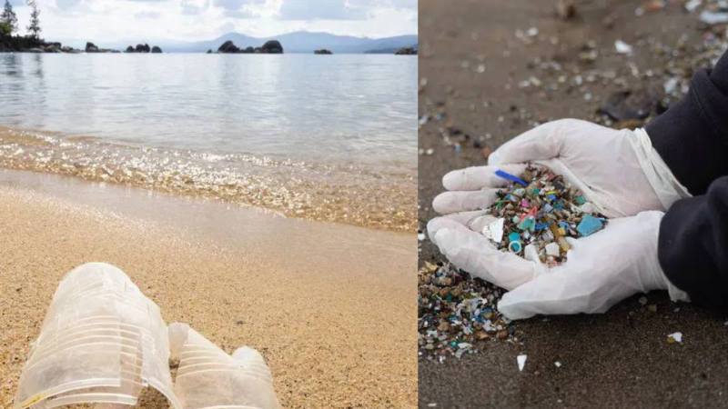 Disturbing degrees of microplastics found in Lake Tahoe, new review finds