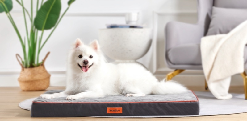 SONIVE Launches the Extra Large Dog&Cat Beds – Make Your Pets Enjoy A Deep And Peaceful Sleep