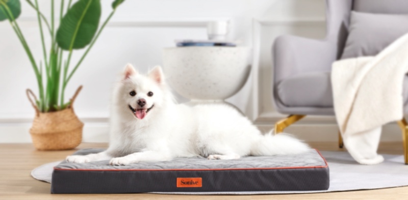 SONIVE Launches the Extra Large Dog&Cat Beds – Make Your Pets Enjoy A Deep And Peaceful Sleep