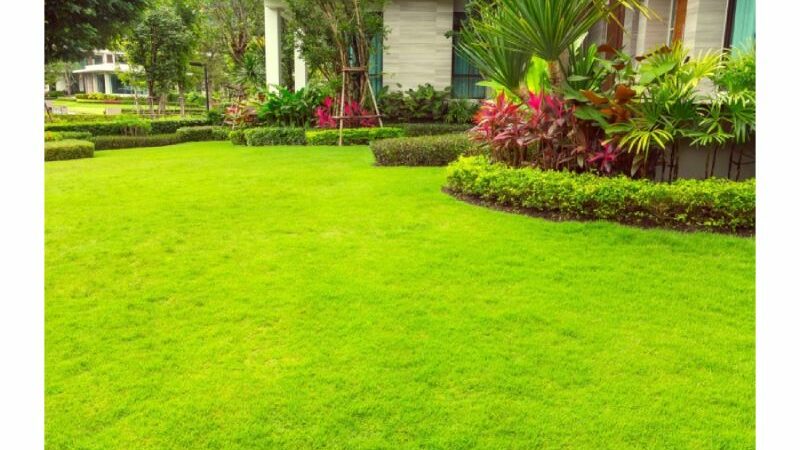 How Artificial Grass Helps Manage Allergies?