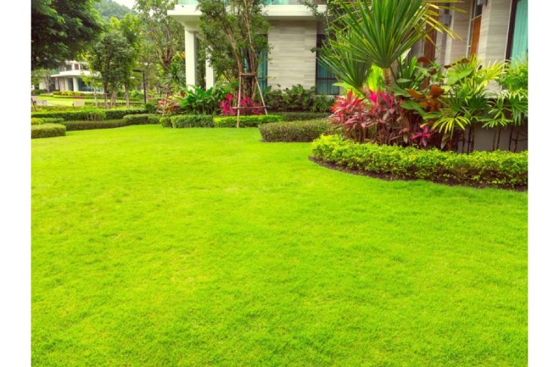 How Artificial Grass Helps Manage Allergies?