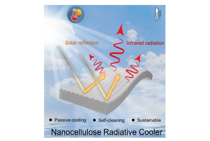 Keep buildings cooler: Chinese scientists (Prof. Chenyang Cai and Prof. Yu Fu) created a sustainable nanocellulose based radiative cooling aerogel-film