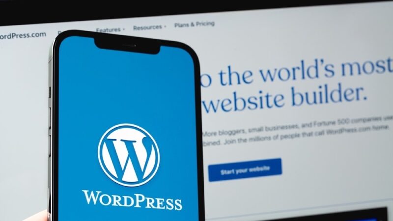 Common Reason Why WordPress Site Is Slow