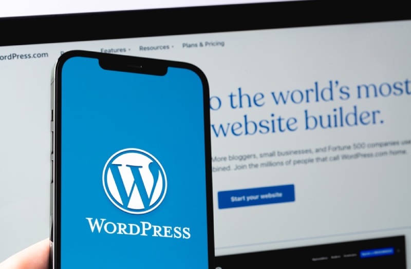 Common Reason Why WordPress Site Is Slow