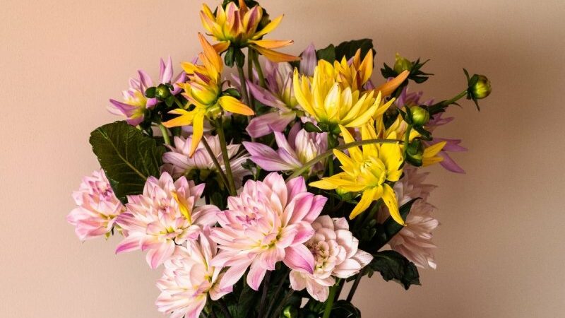 Flowers and Friendship: The Meaning and Exchange of Friendship Bouquets