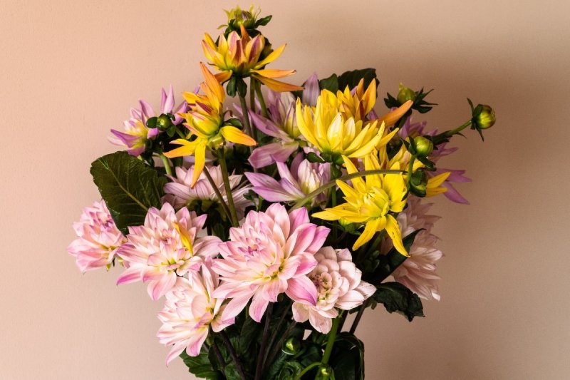 Flowers and Friendship: The Meaning and Exchange of Friendship Bouquets