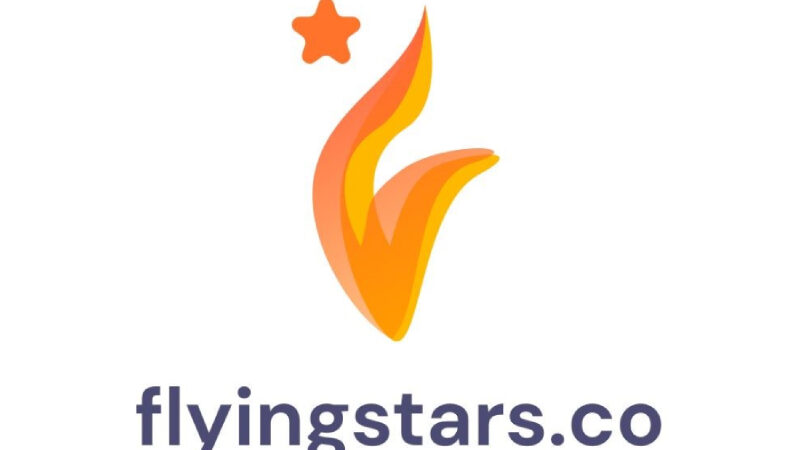 FlyingStar Propels Small Businesses into the Digital Realm, Offering Holistic Digital Solutions Nationwide