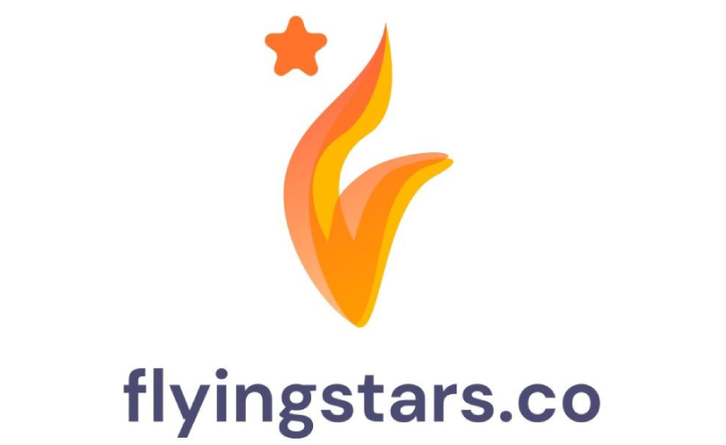 FlyingStar Propels Small Businesses into the Digital Realm, Offering Holistic Digital Solutions Nationwide