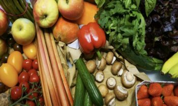 Analyzing the Dietary Practices of Longevity on an Italian Island Where People Frequently Live to Be 100 Years Old