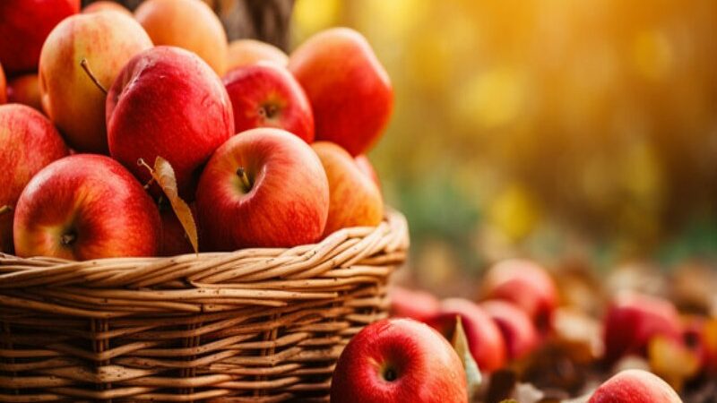 Could an Apple a Day Truly Prevent Illness? The Truth Regarding Fruit’s Effects on General Health is Revealed by Experts