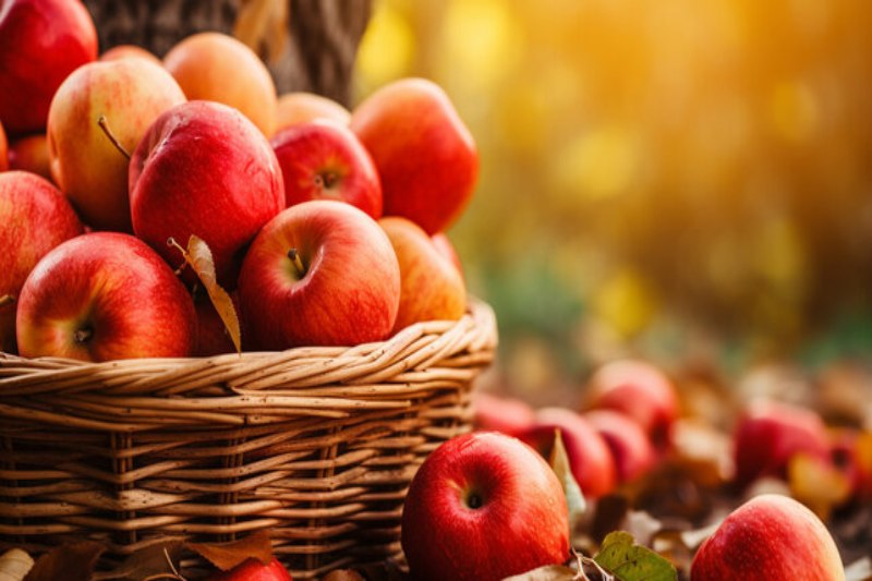 Could an Apple a Day Truly Prevent Illness? The Truth Regarding Fruit’s Effects on General Health is Revealed by Experts