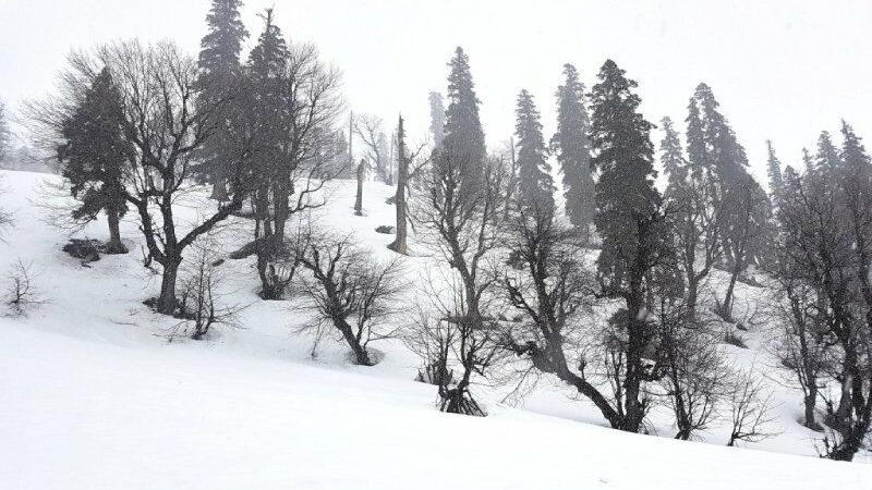 India’s Winter Wonderland Captured on Drone Footage
