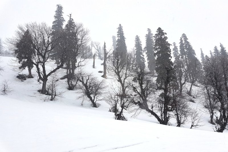 India’s Winter Wonderland Captured on Drone Footage