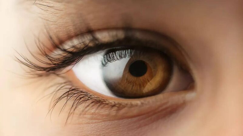 Eye Health: Is There A Possible Link Between Low Brain Pressure And The Development Of Glaucoma?