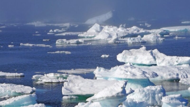 Scientists are “Extremely Worried” as Antarctic Sea Ice Disappears