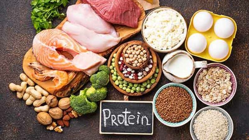 Top 10 Meals High in Protein for Inactive Adults