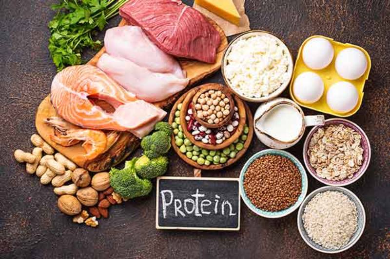 Top 10 Meals High in Protein for Inactive Adults