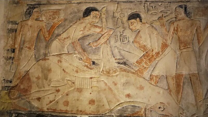 Vibrant Depictions of Everyday Life Found in a 4,300-Year-old Egyptian Tomb