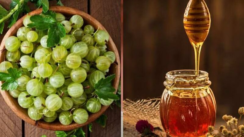 4 Advantages Of Honey And Amla For Expectant Mothers