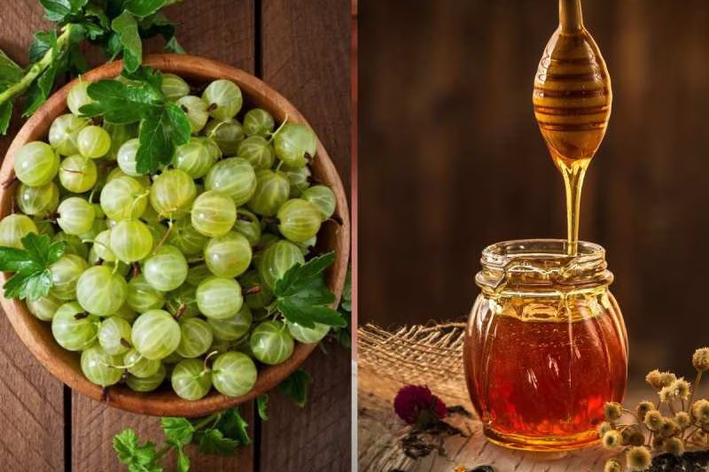 4 Advantages Of Honey And Amla For Expectant Mothers