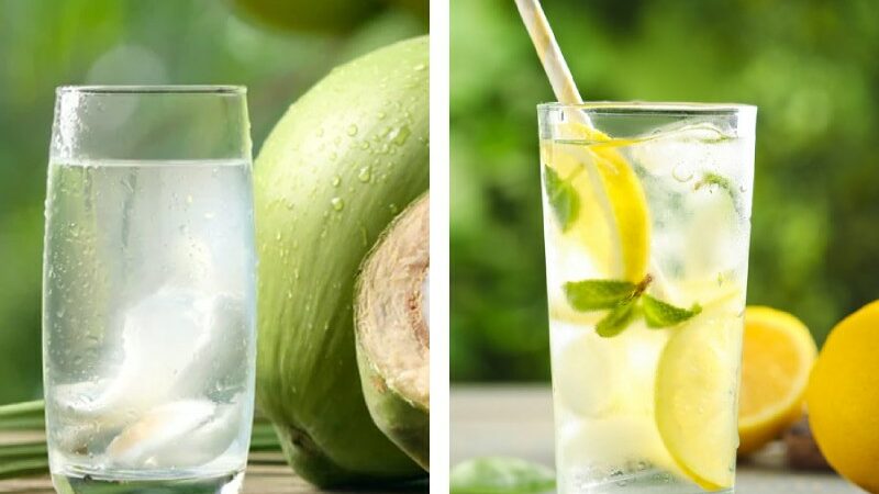 Coconut Water vs. Lemon Water: A Battle for Summer Hydration