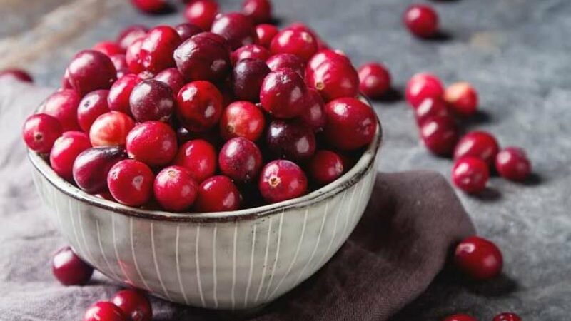 Cranberries: The Superfruit with Five Unbelievable Health Advantages