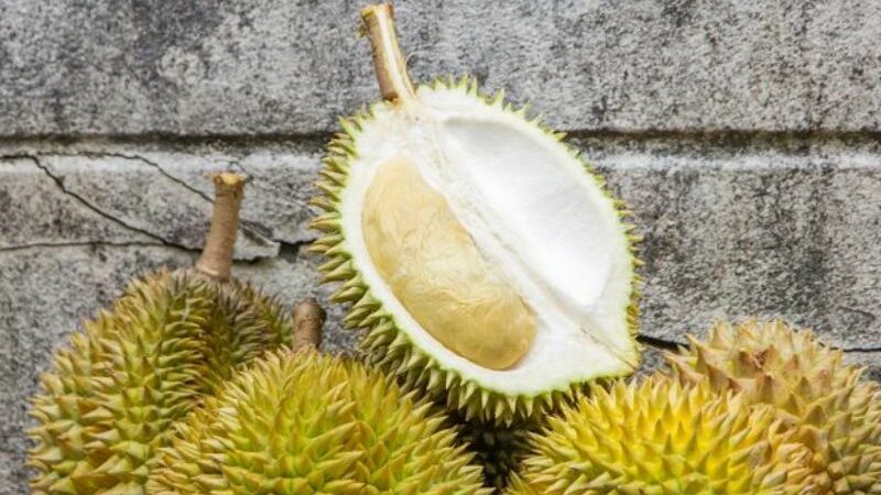 Fruit King: 5 Health Advantages Of Durian Fruit