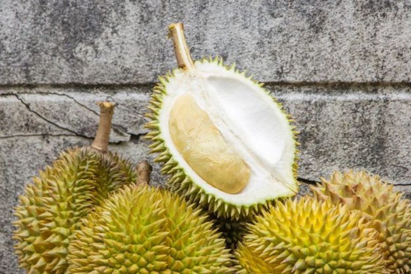 Fruit King: 5 Health Advantages Of Durian Fruit