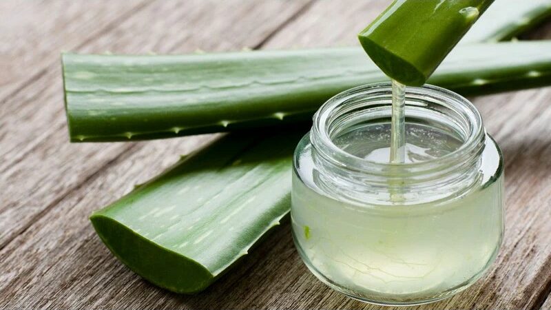 Aloe Vera Shots in the Morning: 7 Health Advantages